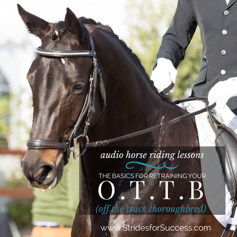 Reschooling Your OTTB