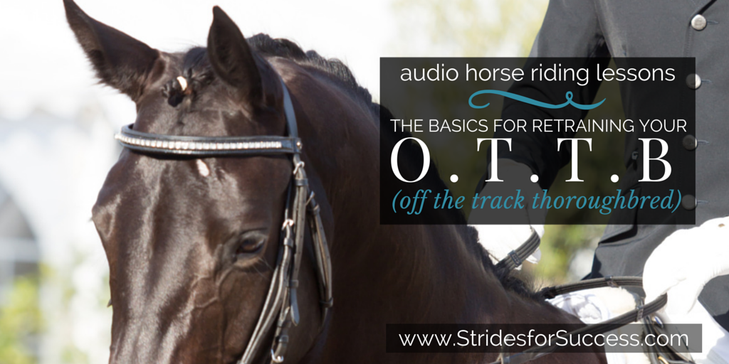 Reschooling Your OTTB
