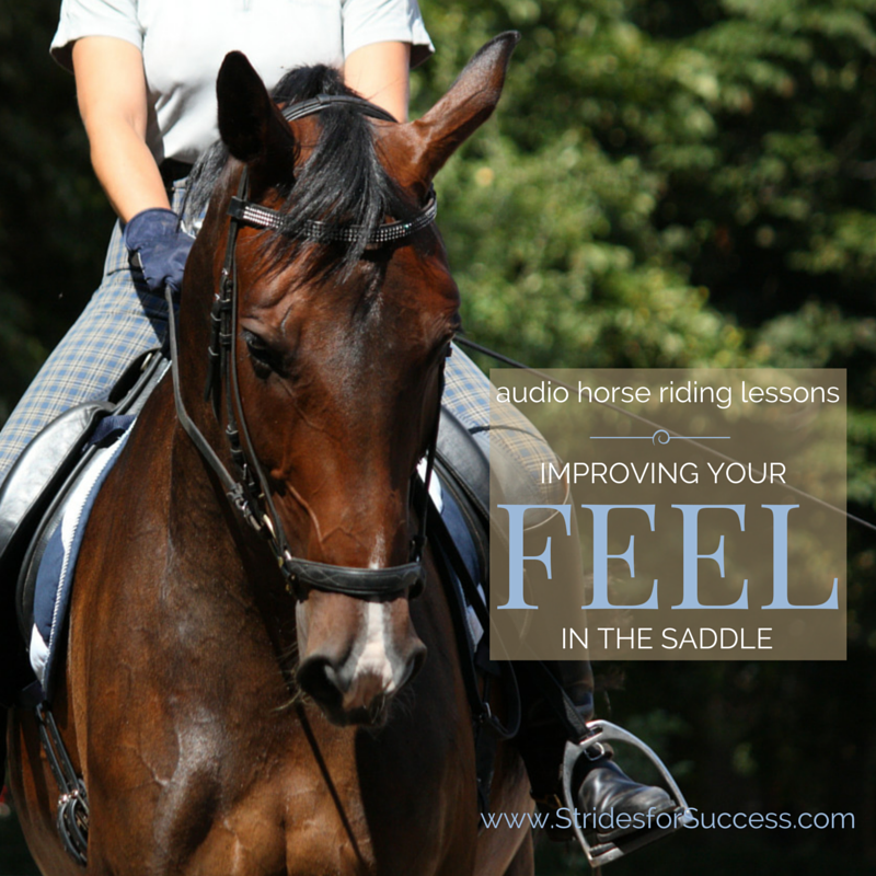 Improving Your Feel in the Saddle
