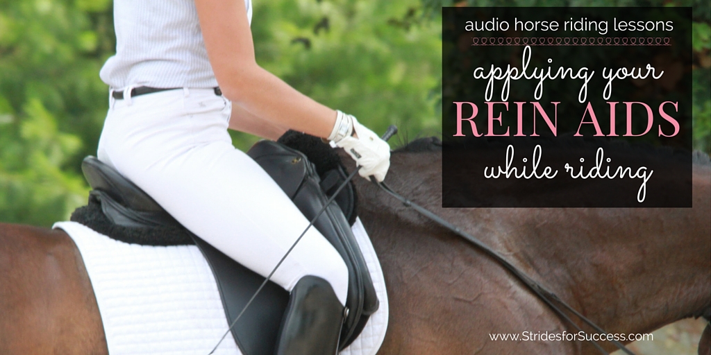 Applying Your Rein Aids while Riding