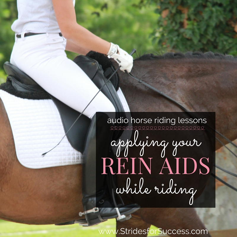 Applying Your Rein Aids while Riding