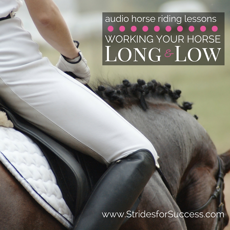Riding your horse long and low