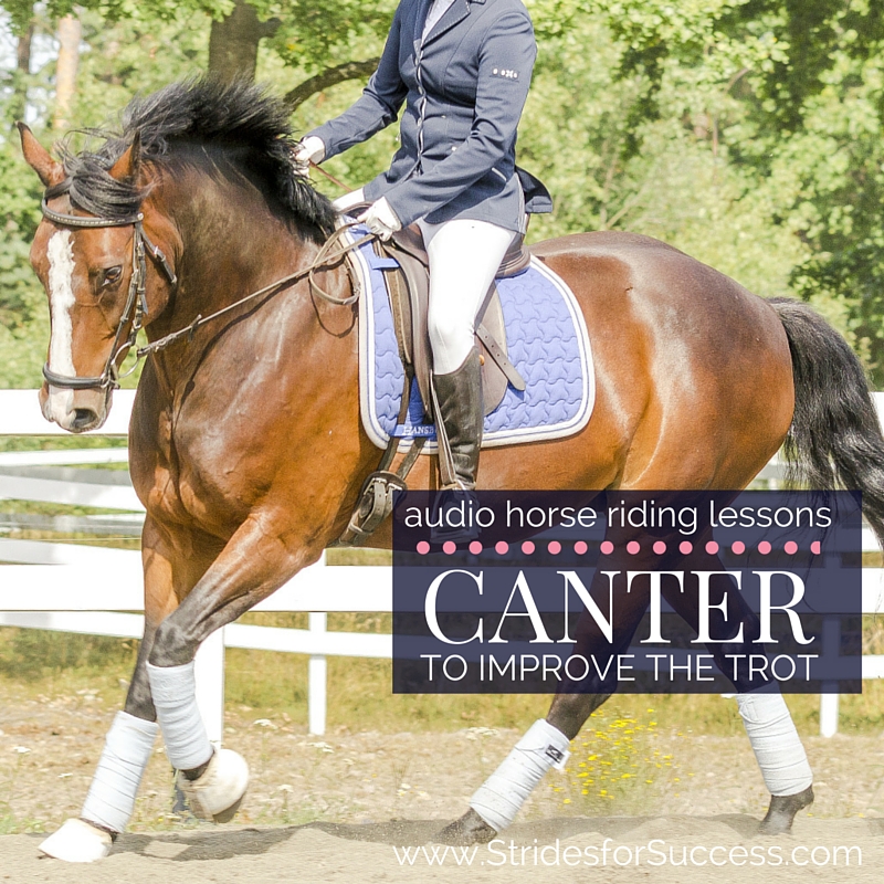 Canter to Improve the Trot