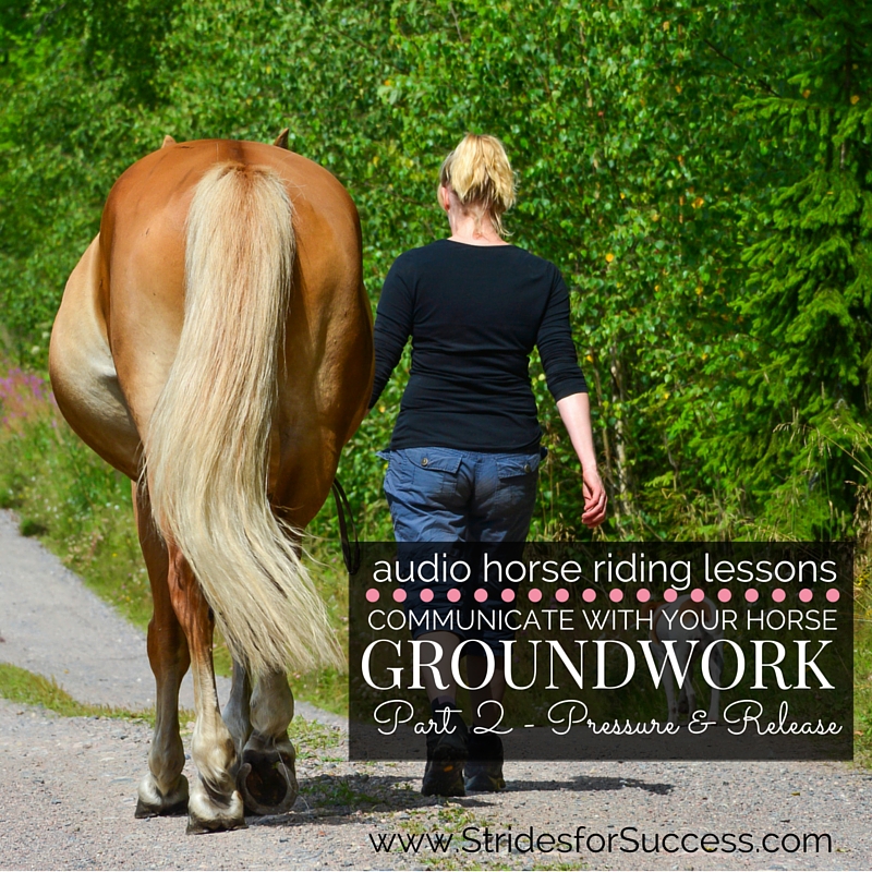 Communicating with your horse through groundwork part 2 pressure and release