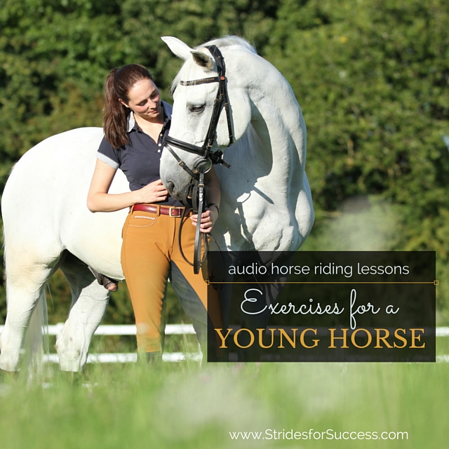 Exercises for a Young Horse