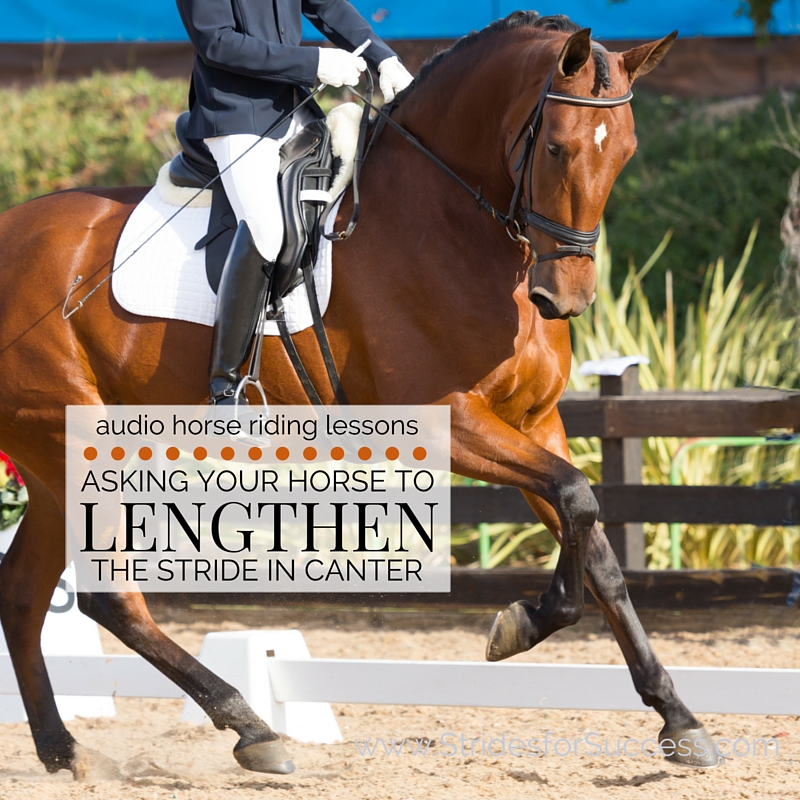 Asking your horse to lengthen the stride in canter