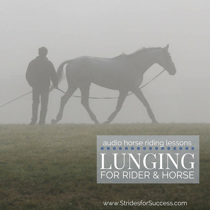 Lunging for Horse and Rider