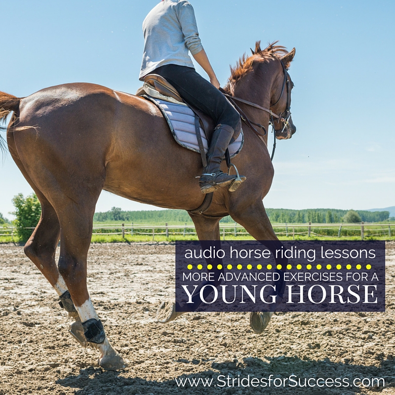 More Advanced Exercises for a Young Horse