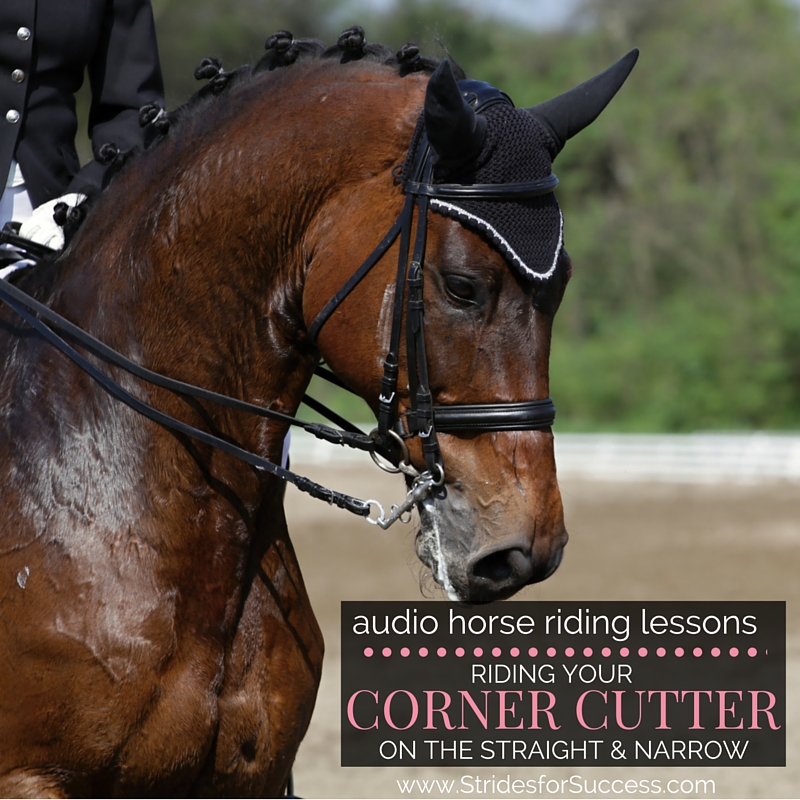 Re-Schooling a Corner Cutter