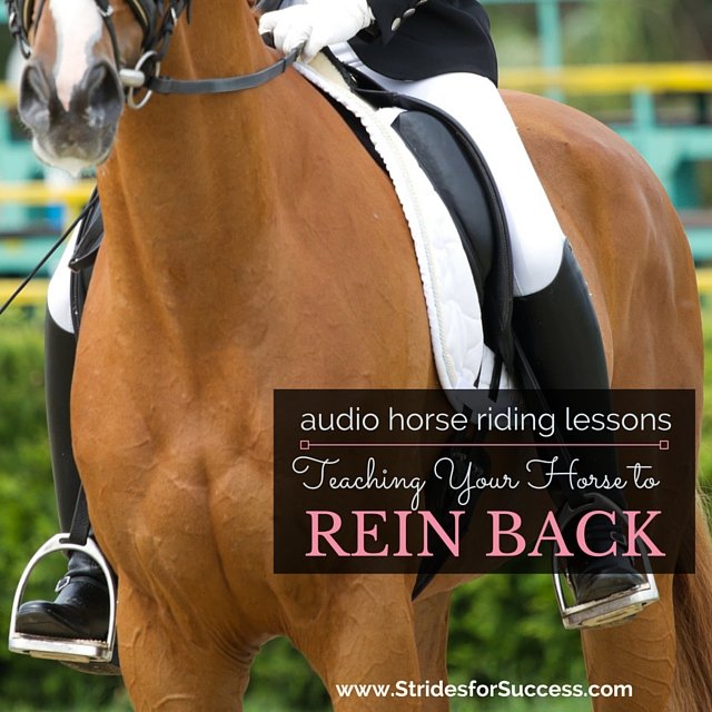 Teaching Your Horse to Rein Back