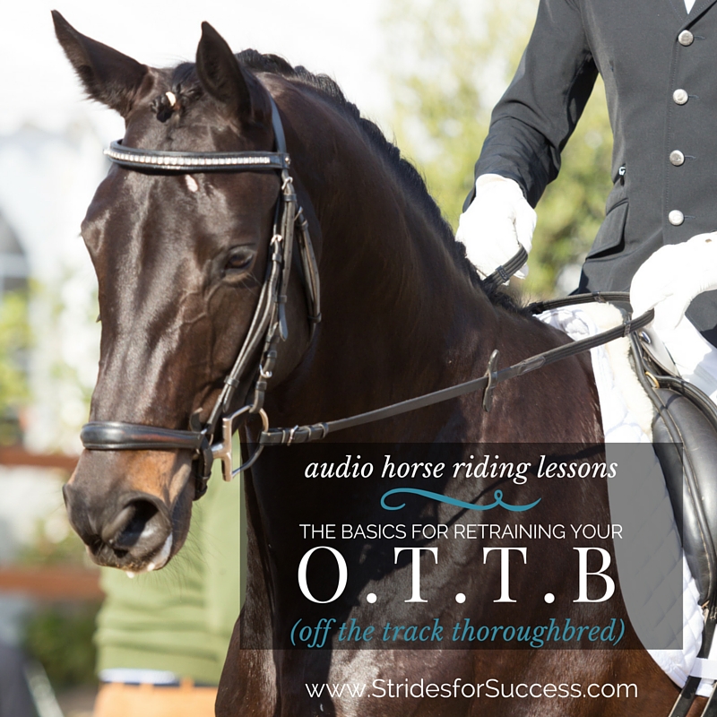 Basic Exercises for your OTTB (Off the Track Thoroughbred)