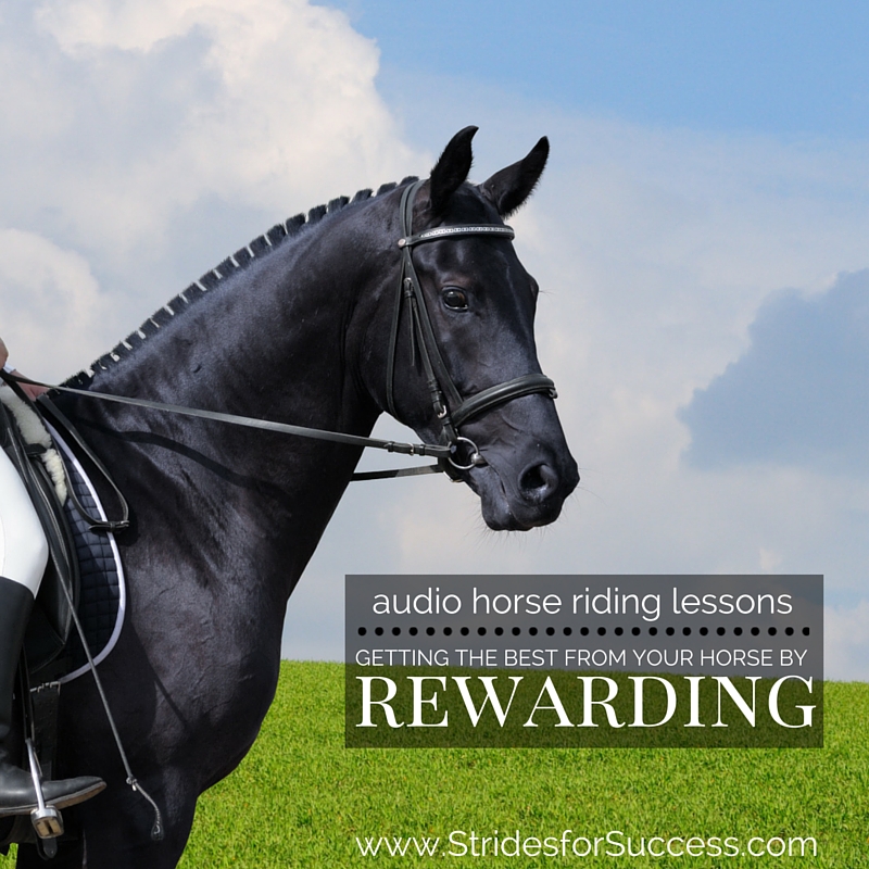 Rewarding Your Horse While Riding