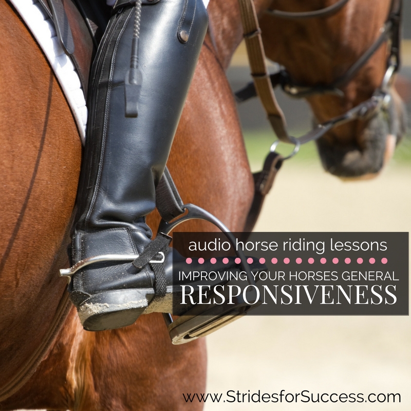 Improving Your Horses General Responsiveness