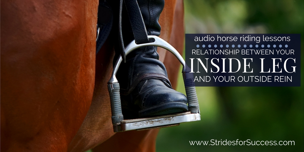 The Relationship Between Your Inside Leg & Outside Rein