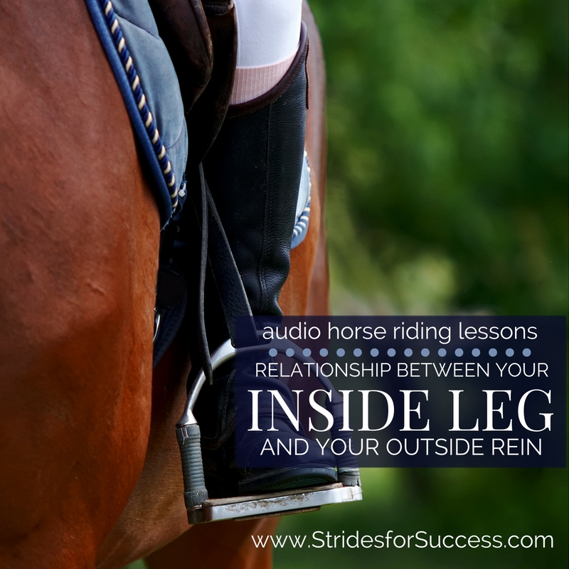 The Relationship Between Your Inside Leg & Your Outside Rein