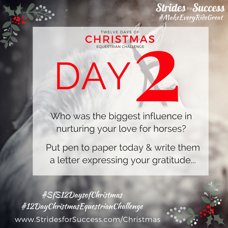 Day 2 ~ SfS 12 Days of Christmas Equestrian Challenge