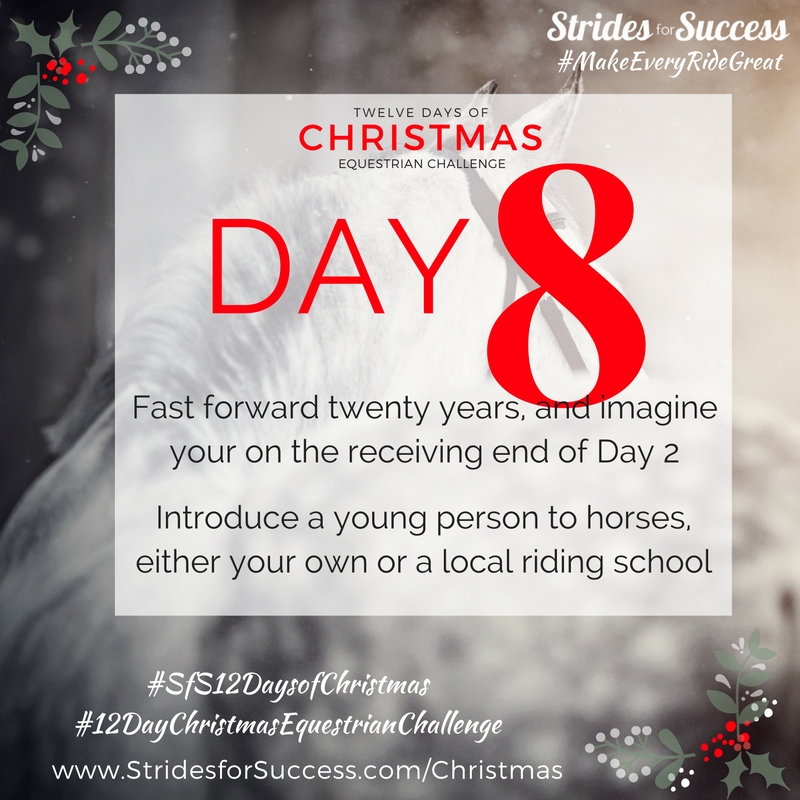 Day 8 ~ SfS 12 Days of Christmas Equestrian Challenge