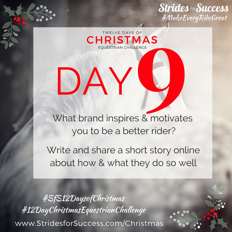 Day 9 ~ SfS 12 Days of Christmas Equestrian Challenge