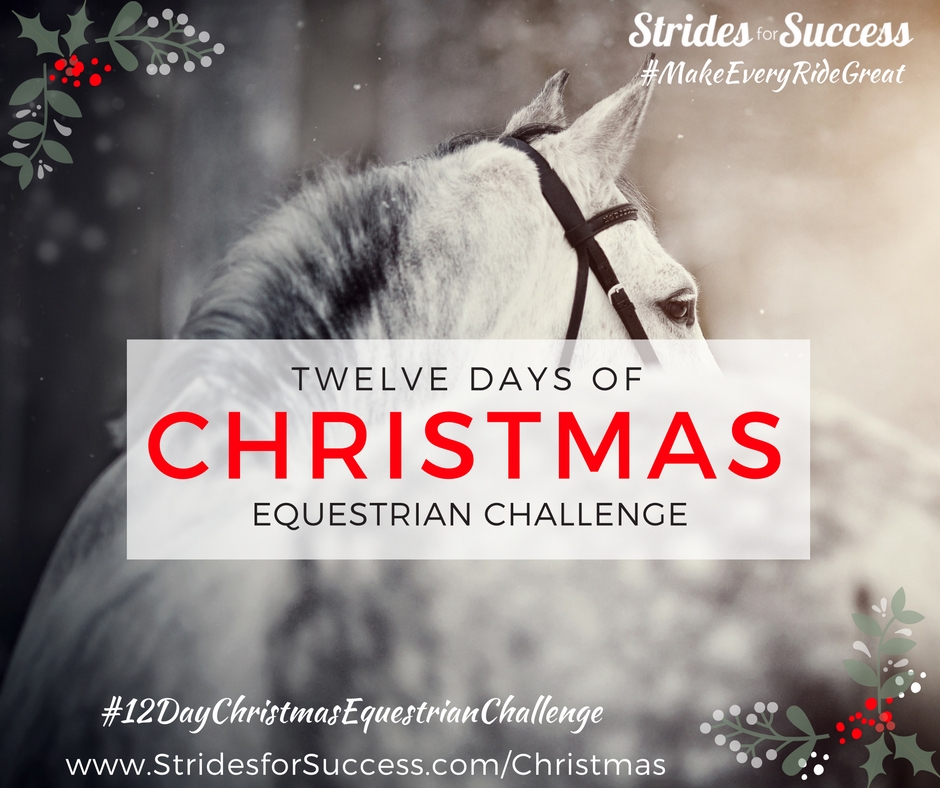 12 Days of Christmas for Equestrians