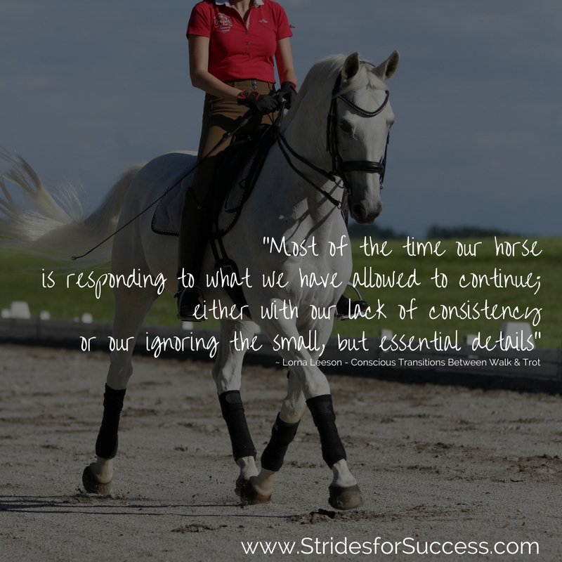 Conscious Transitions Between Walk and Trot