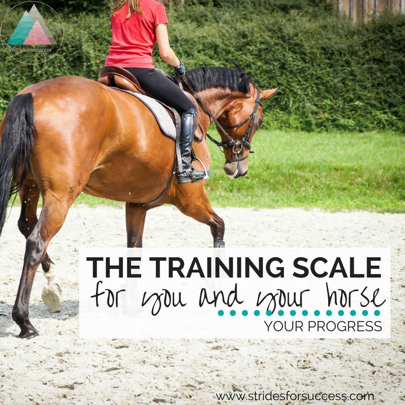 The Training Scale for You and Your Horse