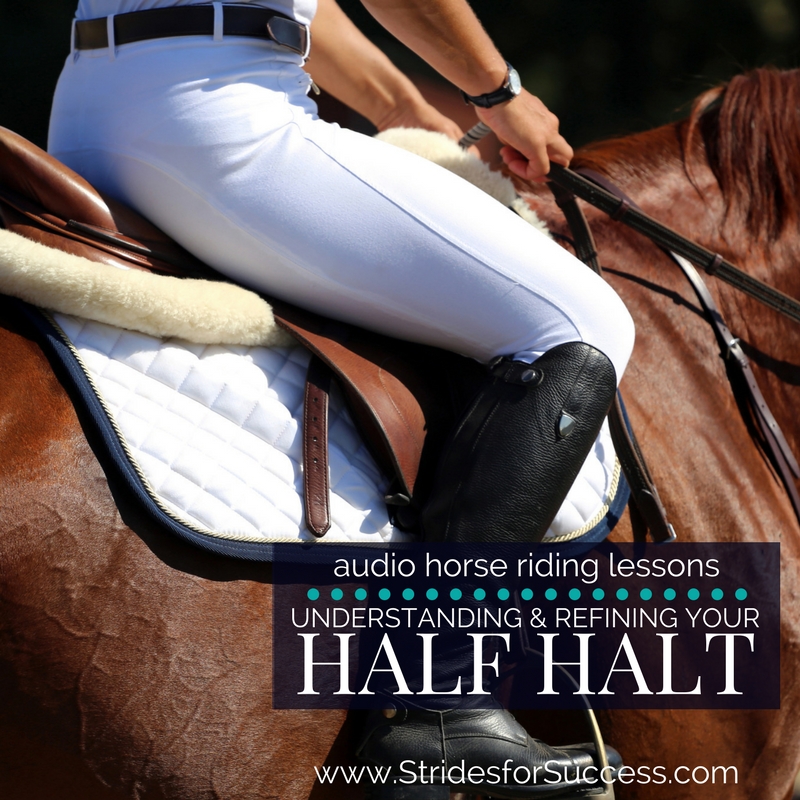 Understanding and Refining the Half Halt - Strides for Success