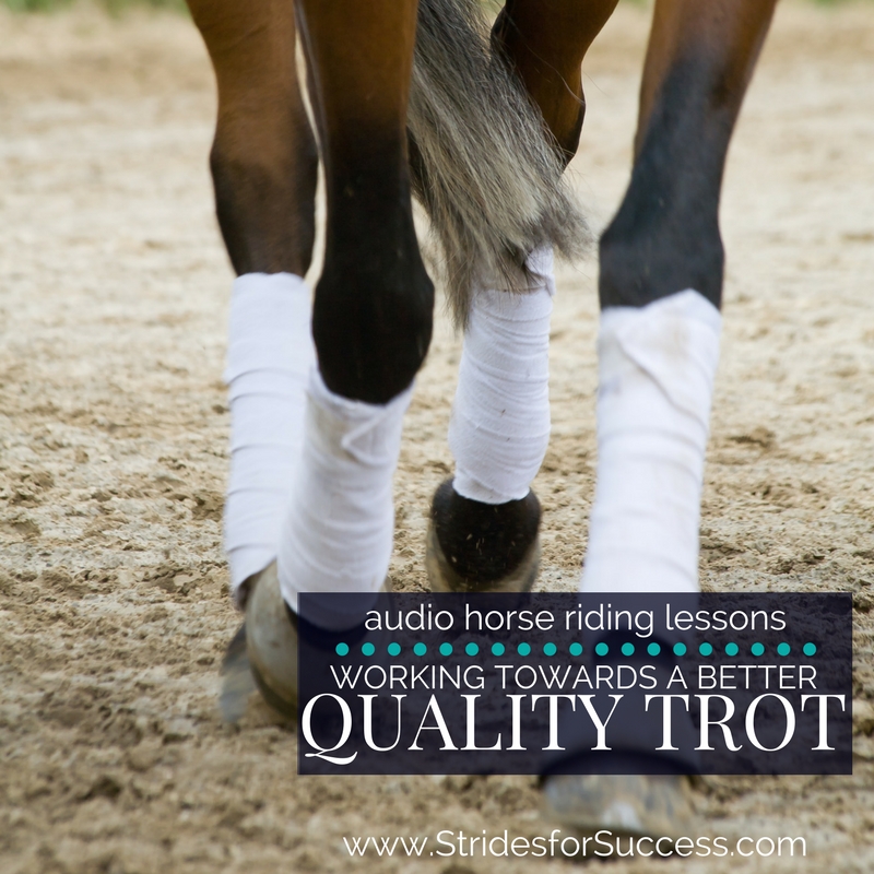 Working Towards a Consistently Better Quality Trot