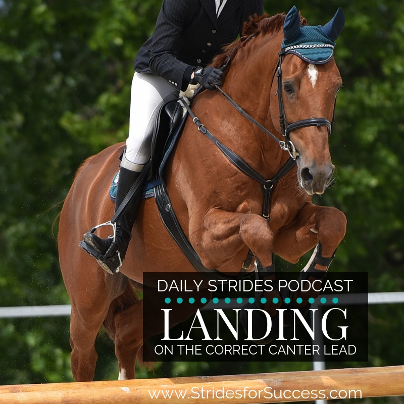 Landing on the Correct Canter Lead After a Fence