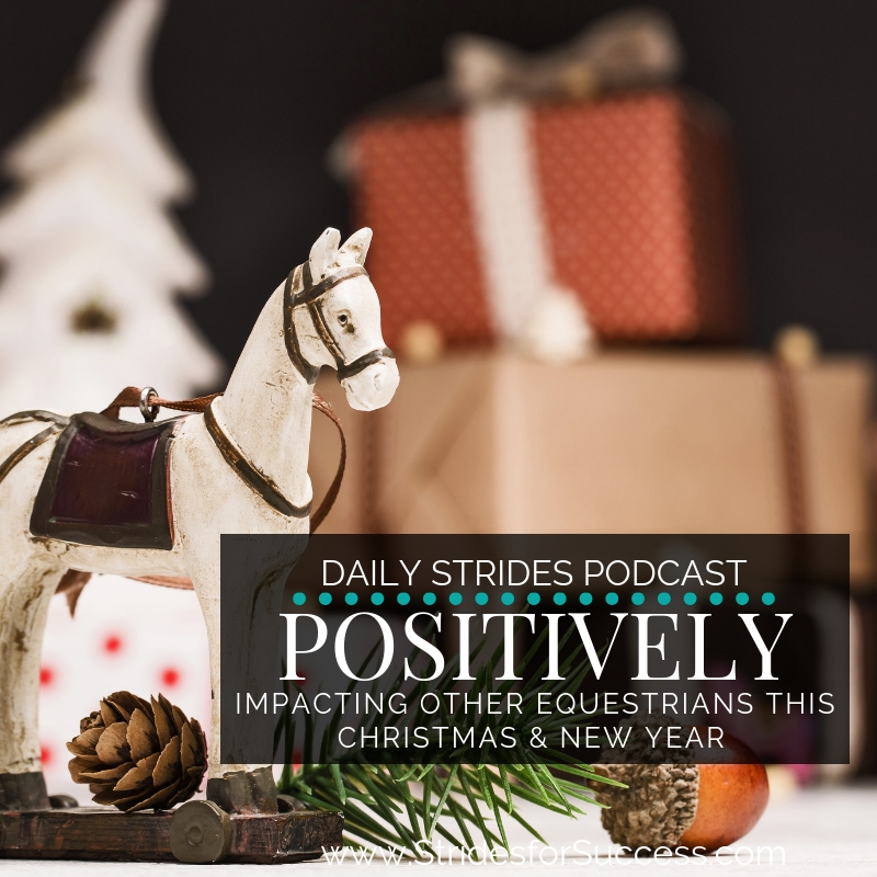 Positively Influencing Other Equestrians this Christmas & New Year