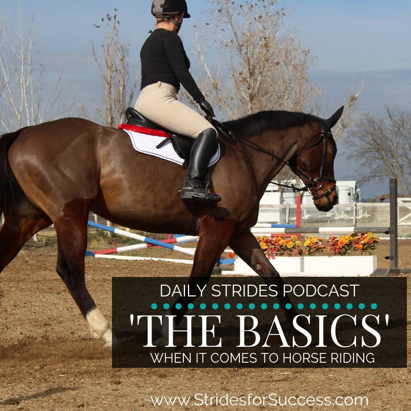 What are the Basics when it Comes to Riding