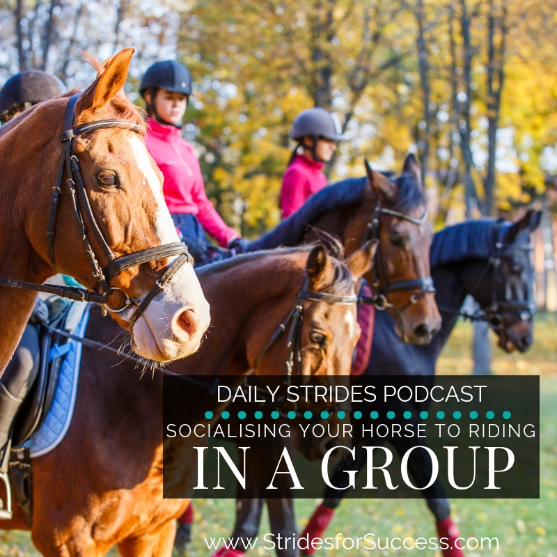 Socialising Your Horse to Riding in a Group