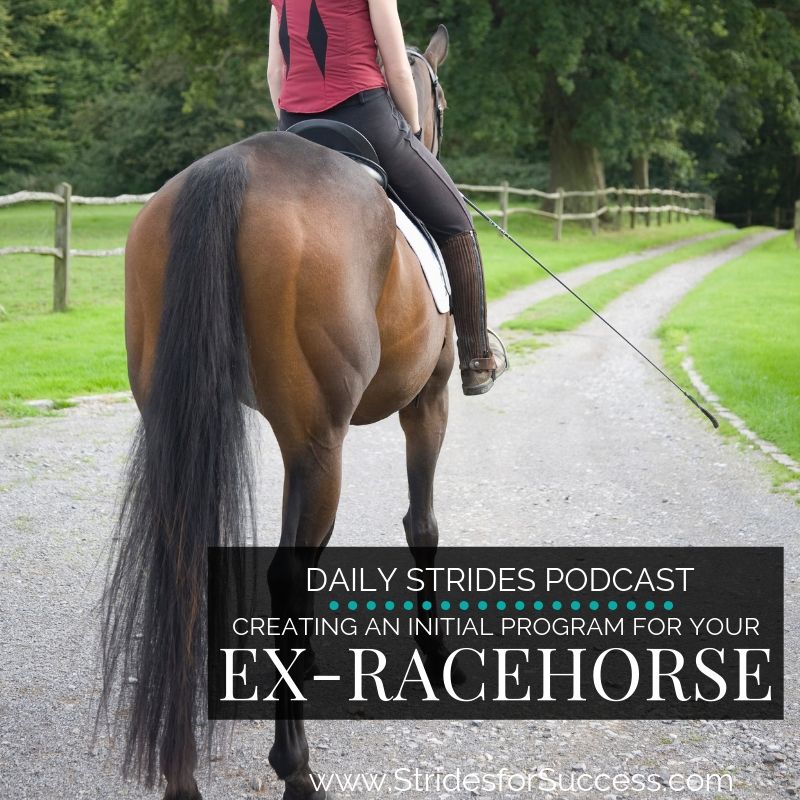 Creating a Program for Your OTTB or Ex-Racehorse
