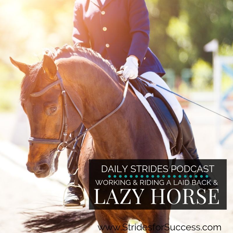 Riding a Laid Back or Lazy Horse