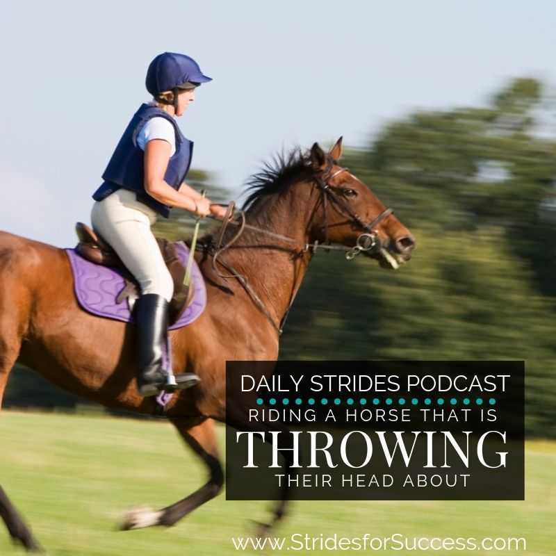 Riding a Horse who is Tossing or Throwing his Head