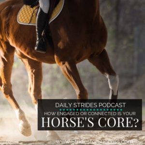 How Engaged is Your Horses Core?