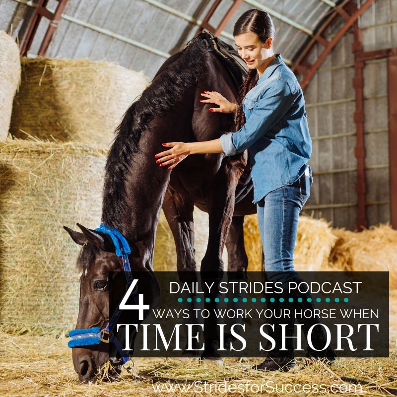 4 Ways to Work Your Horse When Time is Short…