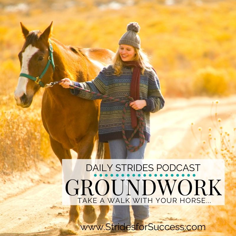 Groundwork: Take a Walk with Your Horse…