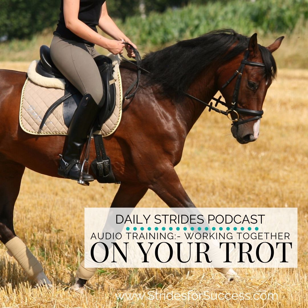 Working Together on Your Trot