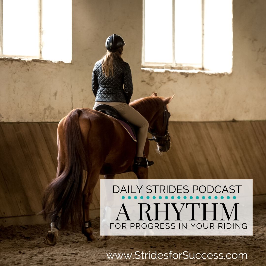 Developing a Rhythm for Your Progress in the Saddle