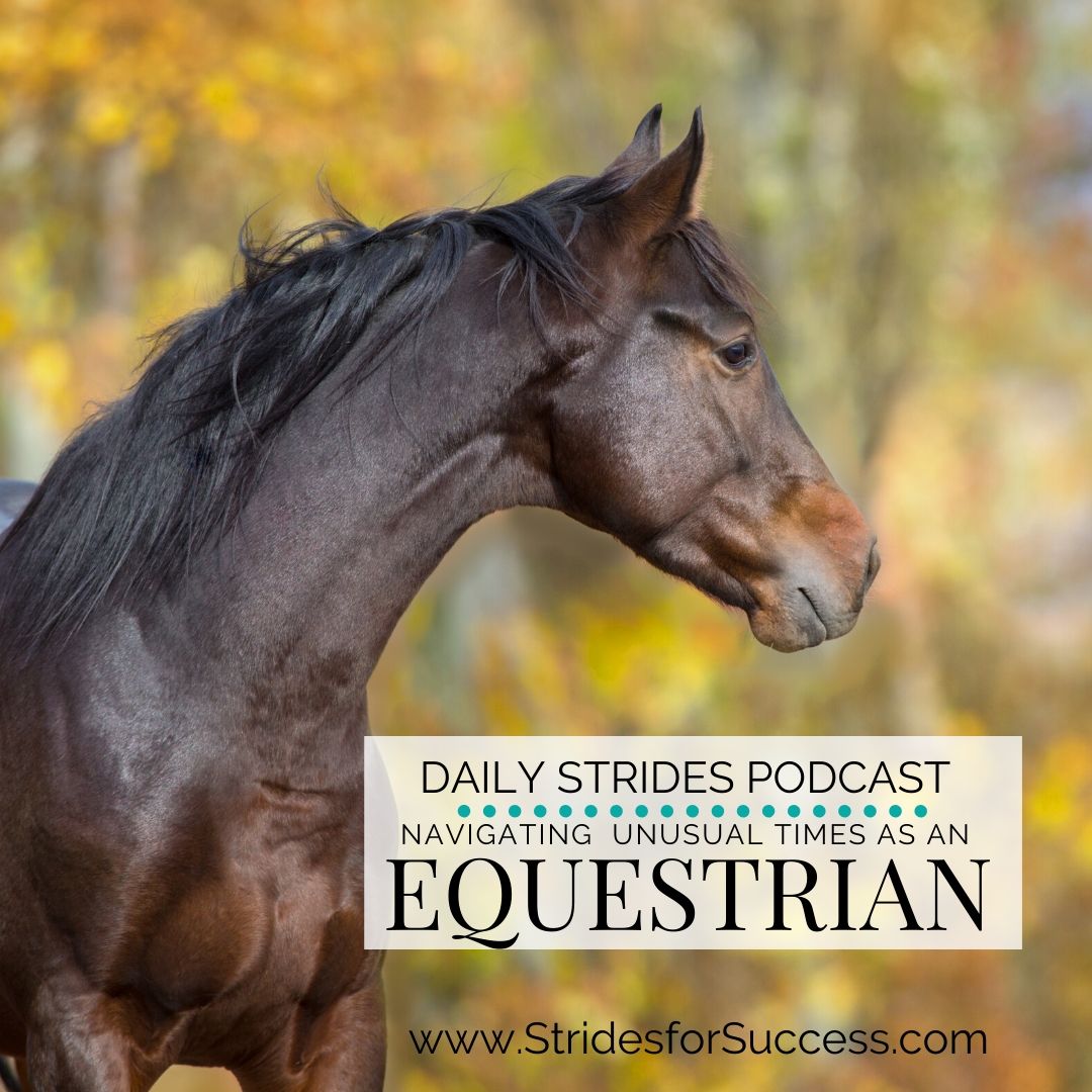 Navigating these Unusual Times as an Equestrian