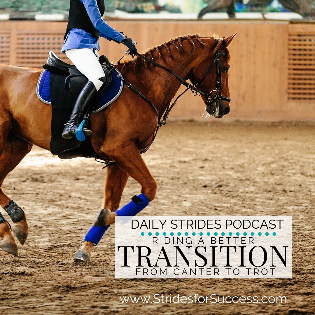 The Canter to Trot Transition
