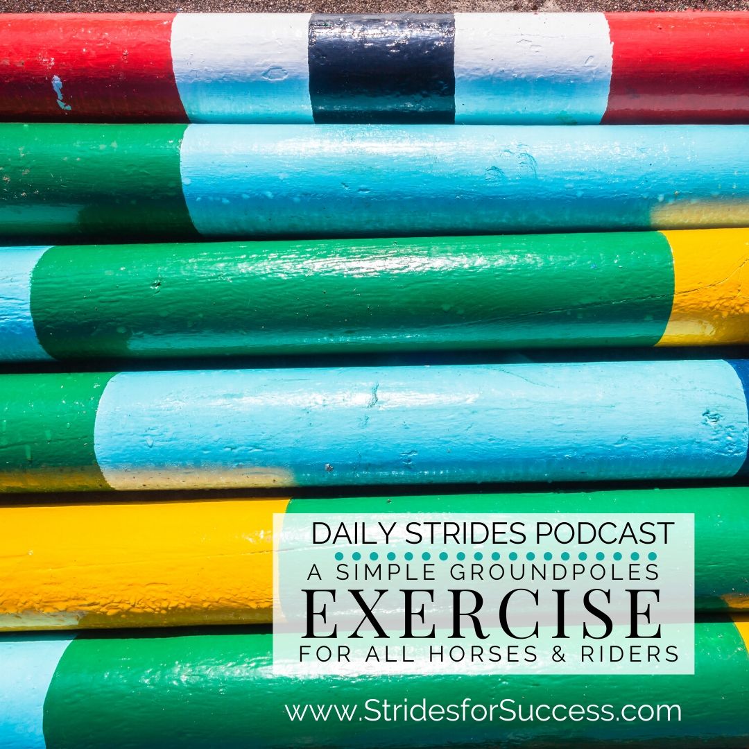 Simple Groundpole Exercise to Ride this Week with Your Horse