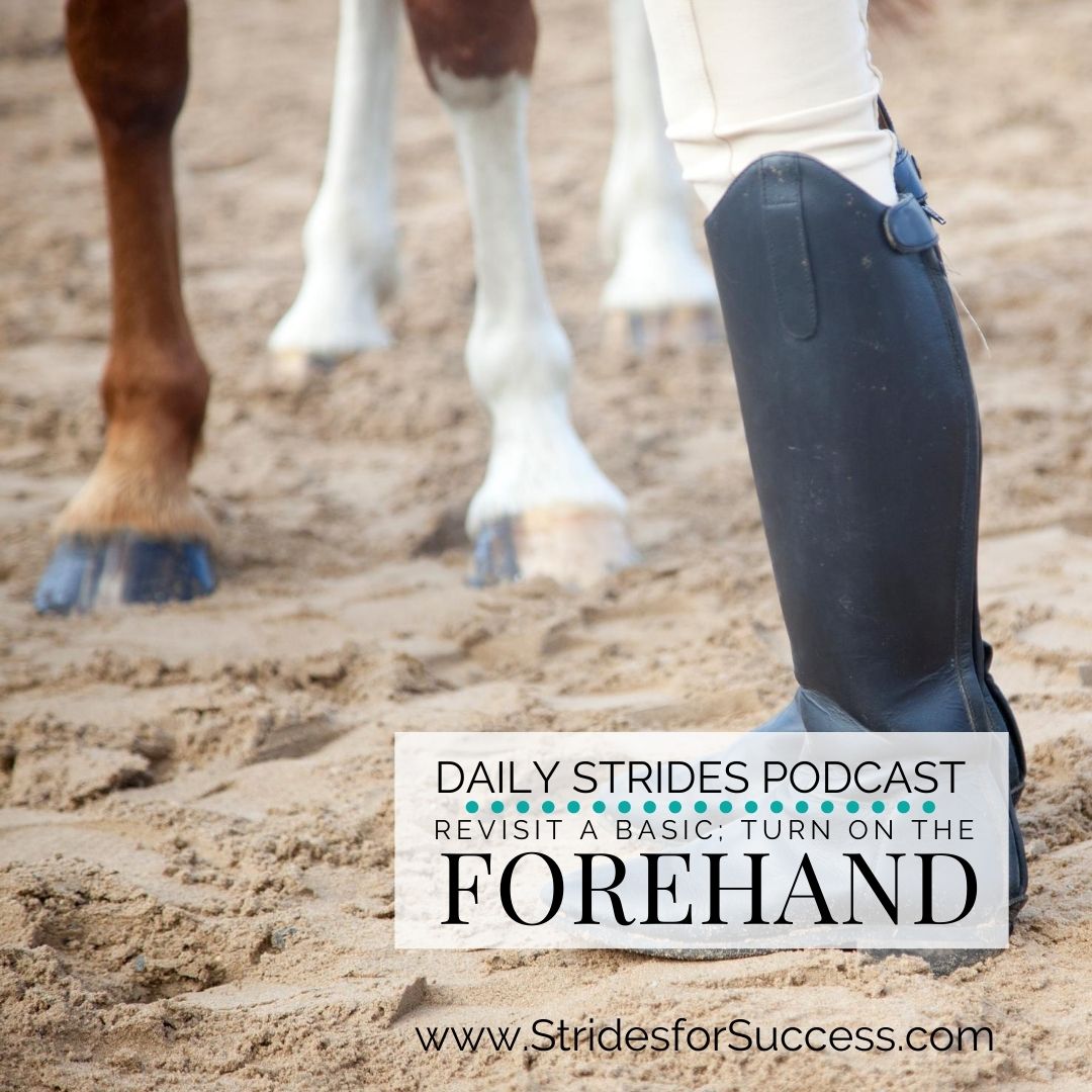 Turn on the Forehand; A Basic to Revisit This Week