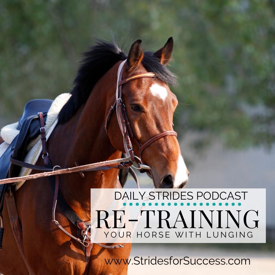 Re-Training Your Horse Using Lunging