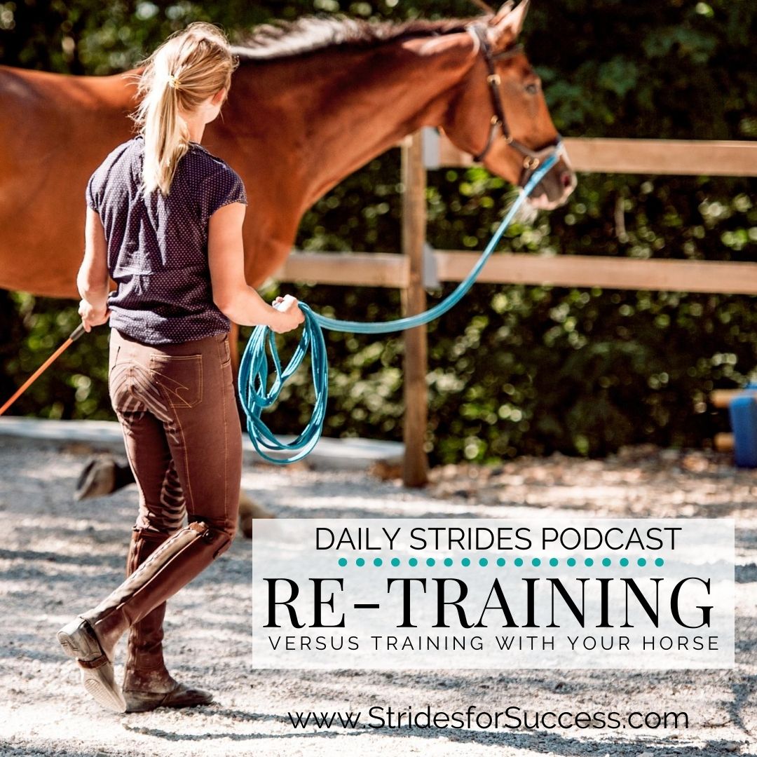 Retraining Your Horse Versus Training Your Horse