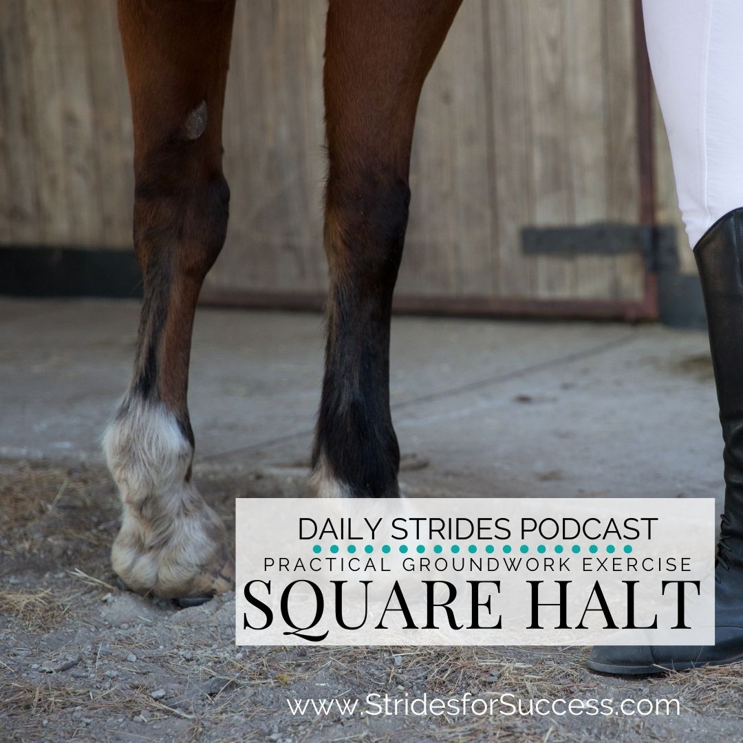 A Square Halt on the Ground