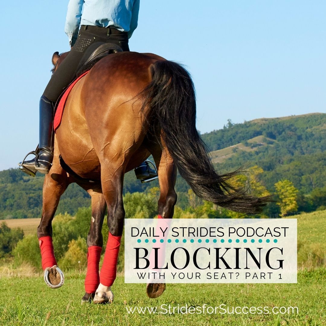2 Exercises To Find Out If You're Blocking with Your Seat While Riding - Part 1