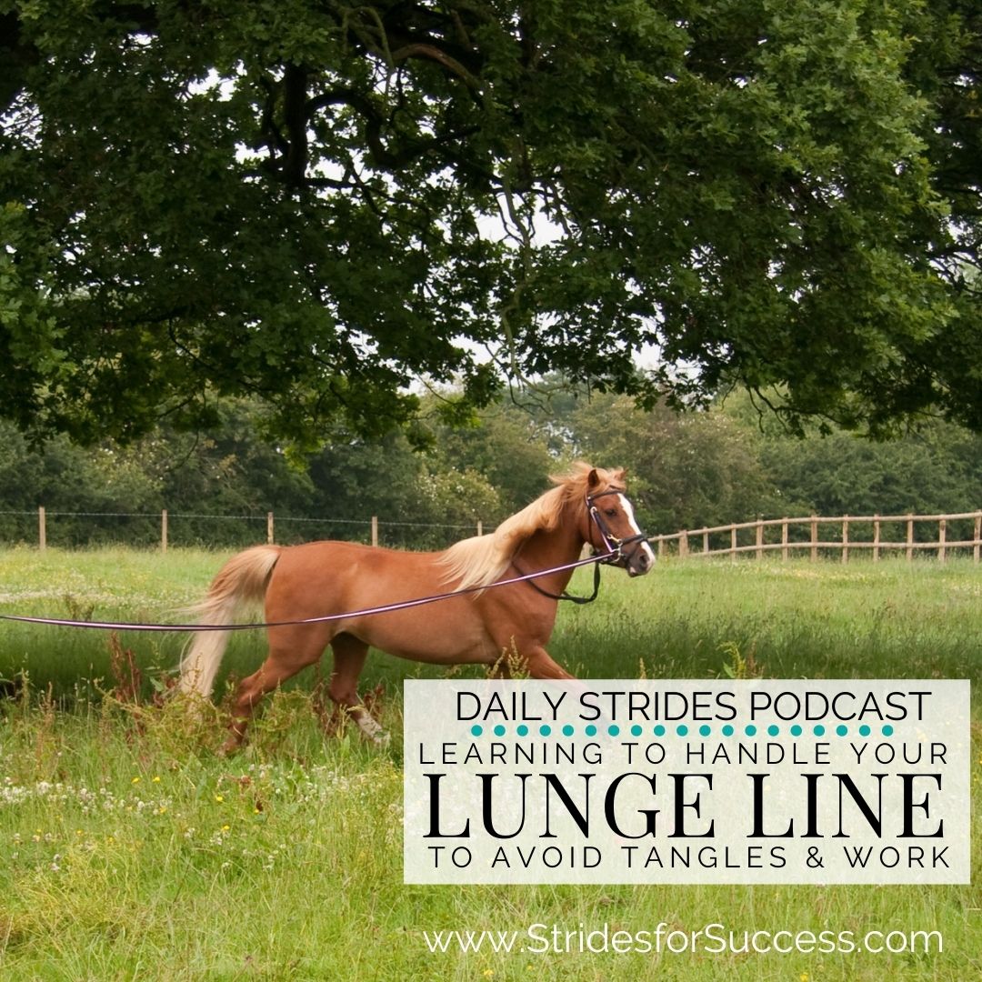 Handling Your Lunge Line to Avoid Tangles & Enhance Contact