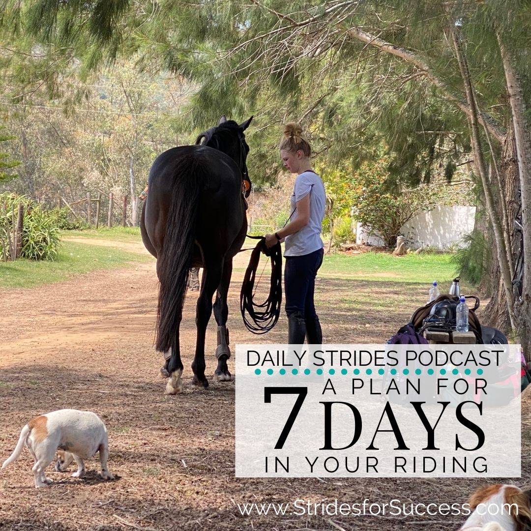 A Plan for 7 Days in Your Riding