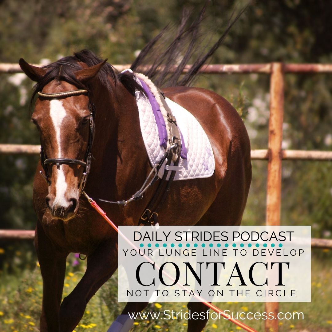 Developing Contact on the Lunge Using Your Lunge Line